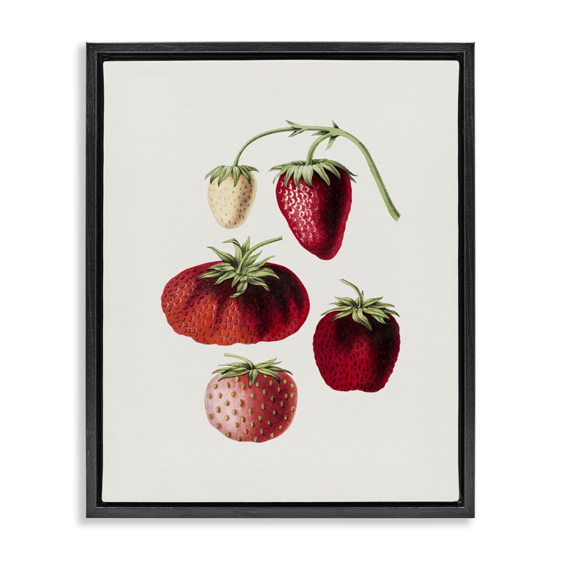 «Natural Berries Study», art mural encadré flottant par lettres et lignes, Cadre flottant noir de jais, H 21 po x l 17 po