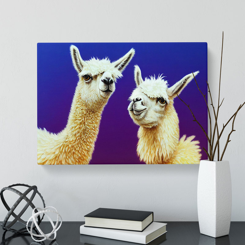 Thrilling Llamas - Wrapped Canvas, 35cm H x 50cm W x 3cm D