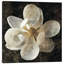 «Magnolia I» par John Seba - Estampe numérique sur toile tendue avec châssis-72035718-72035719-72035722