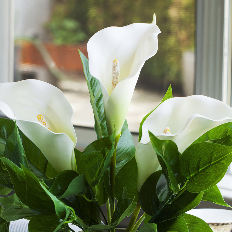 Arrangement floral de grands lys en pot