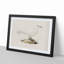 Ivory Gull by Von Wright - Picture Frame Painting Print-55576317-55576324