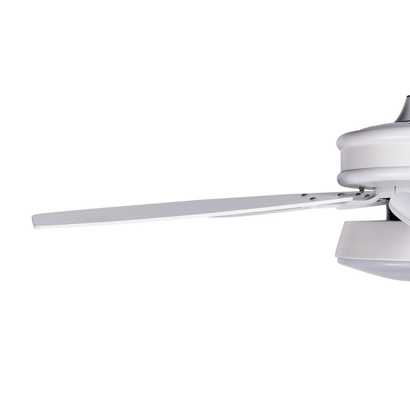 Asimakis 110cm Ceiling Fan with LED Lights