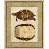 Neutral Turtle 1 Painting