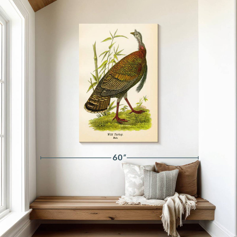 Brampt Wild Turkey Lithograph, 45" H x 30" W