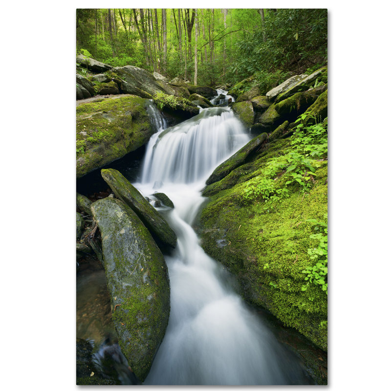« cascade mossy rocks », reproduction de photo sur toile tendue, H 24 po x l 16 po x P 2 po