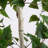 7ft. Artificial Birch Tree