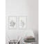 Eucalyptus croquis IV - ensemble de 2 reproductions de cadres photo simples-87531823