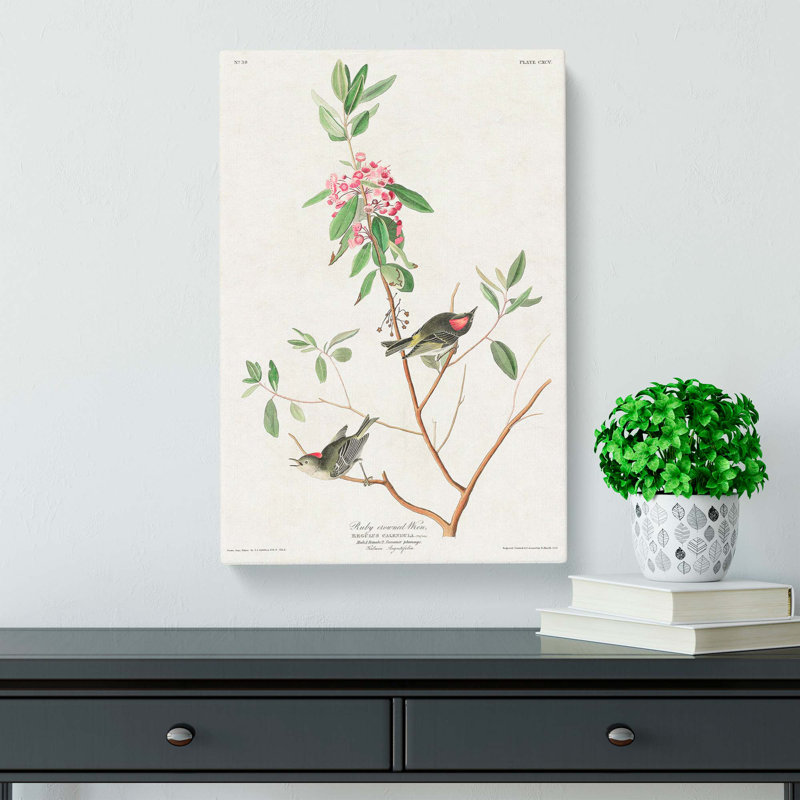 Ruby-Crowned Wren by John Audubon - Wrapped Canvas, 60cm H x 40cm W x 3cm D