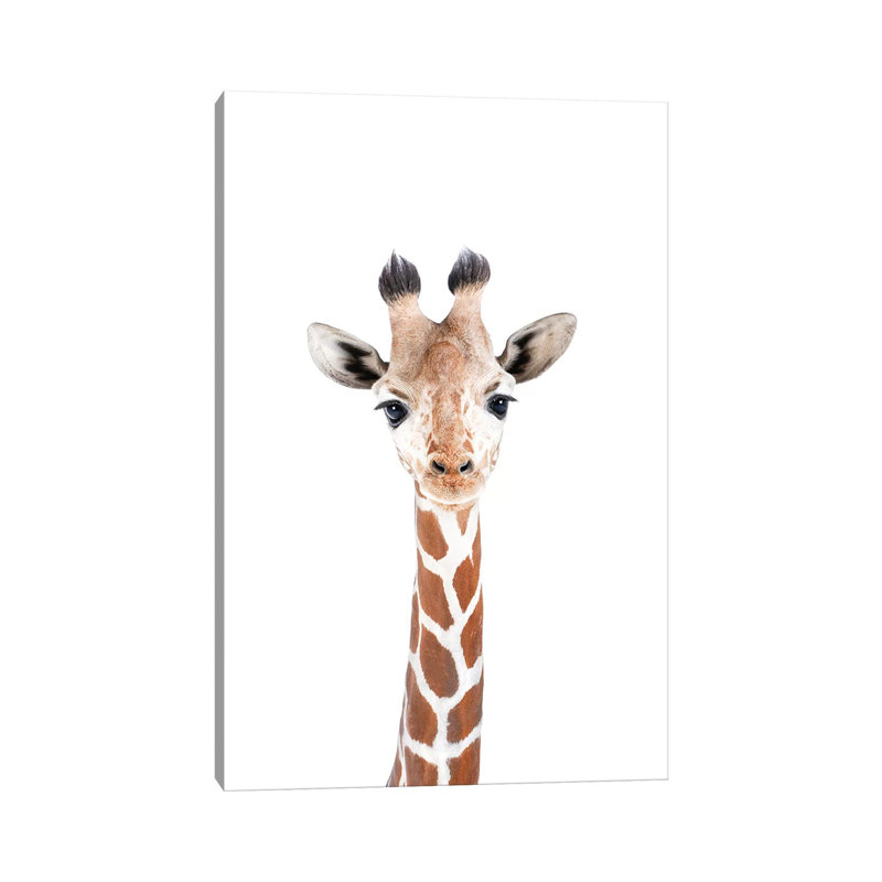 Baby Giraffe by Sisi & Seb - Wrapped Canvas Print, 20.32 cm H x 30.48 cm W