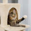 Arbre à chat 69 "Egremont-374617148
