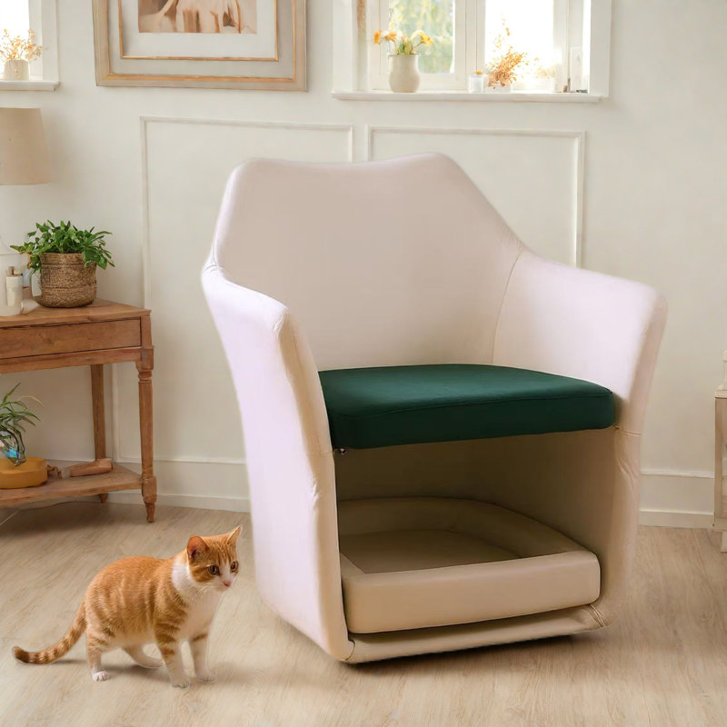 Chaise d'appoint moderne 2 en 1 avec base amovible pour animaux de compagnie