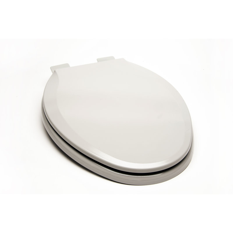 Elongated Toilet Seat and Lid