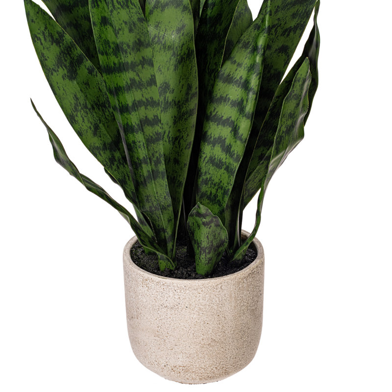 Faux Snake Plant Plant in Cement Pot