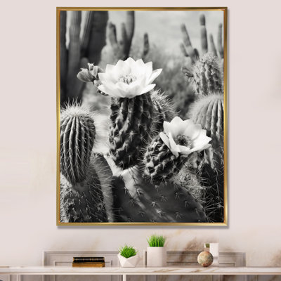 Keymari Gray Desert Cactus III sur toile