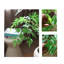 Faux plantes et arbres en plastique vert
