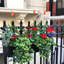 Window Box Planter-36035302-36035306