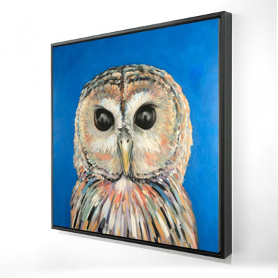 " Colorful Spotted Owl "