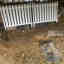Customer photo 2 of 2