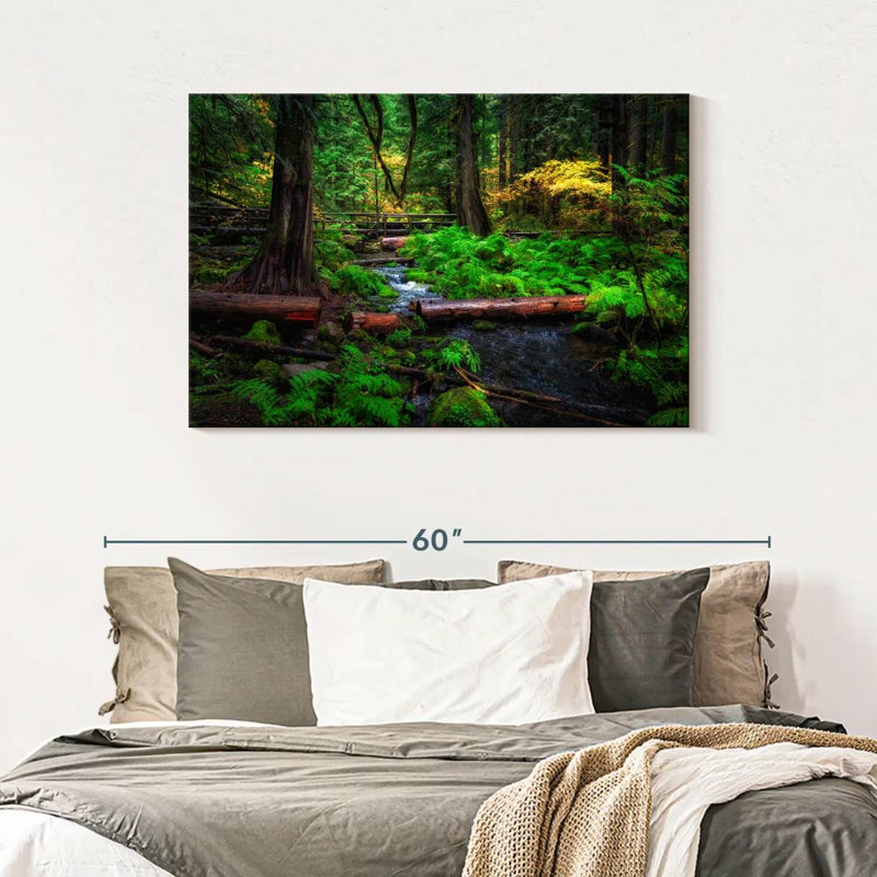 Ruisseau Alvord Willamette National Forest, H 30 po x l 45 po