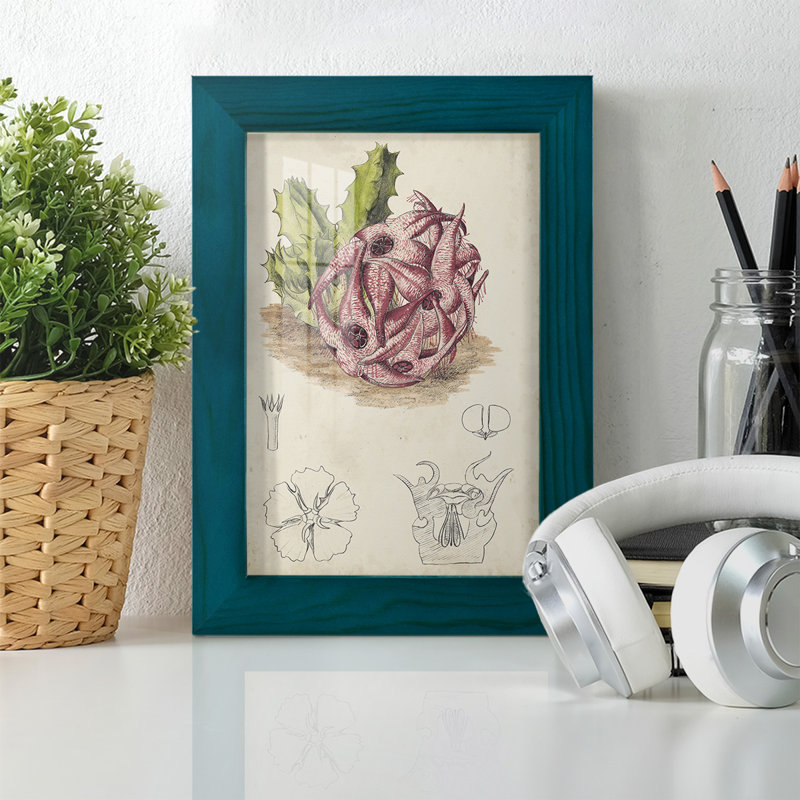 Cactus antique III, impression sur papier, H 6 po x l 4 po x P 1 po, Bleu