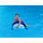 Animal Pool Float - Marine Animal Whale Shark Pool Floats and Noodles filled with EPS Beads for kids, teens and adults, Use While Floating or Lounging Poolside, Comfy Stuffed Pool Noodle for Lounging, Available in 3 Sizes in Whale Shark Design-74080333