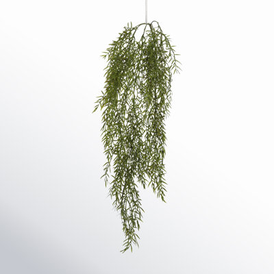 34" Dill Leaf Vine Plant