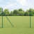 Green selected