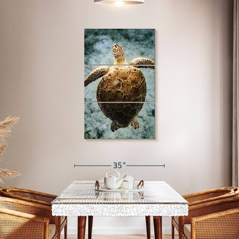 Brampt Virgin Islands Turtle, 23" H x 14" W