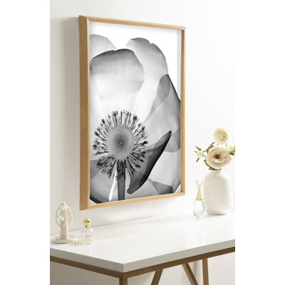 «Poppy X Ray Floral 2 BW» par The Creative Bunch Studio, art mural en verre encadré