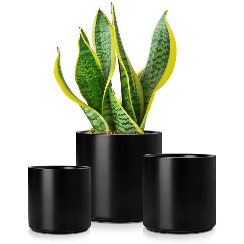 ZTHPOT Ceramic Pot Planter, Black