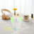 Dobrila Acrylic Coffee Table