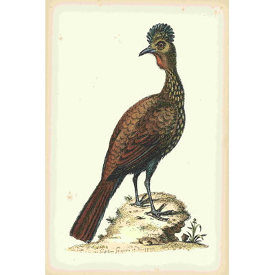 Regal Pheasants V 2855026