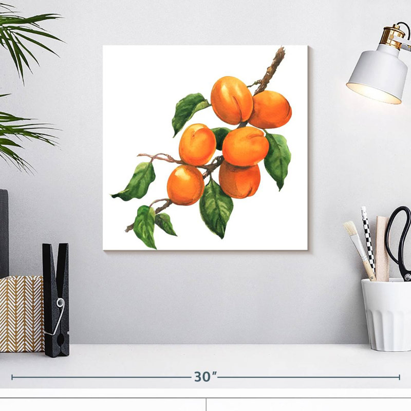 Abricots mûres Yarlin, H 16 po x l 16 po