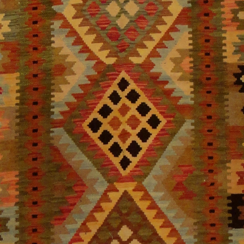 Azpeitia Wool Southwestern Indoor Rug