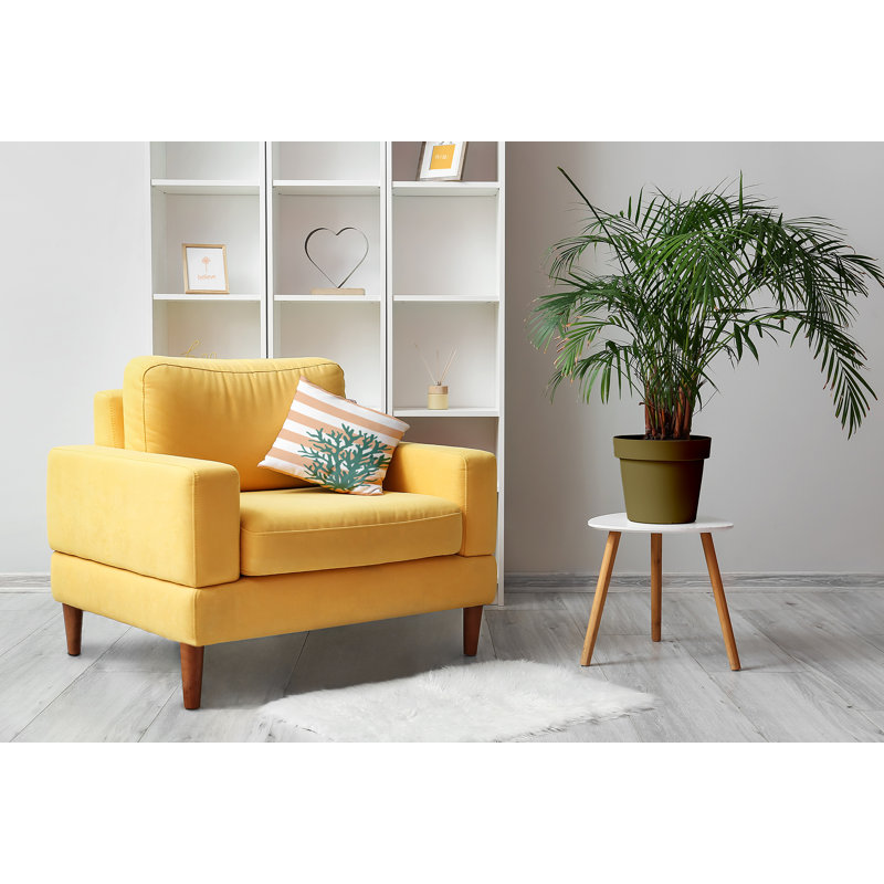 Coussin Bee and Comb, H 18 po x l 18 po, Orange / blanc / rayures vertes