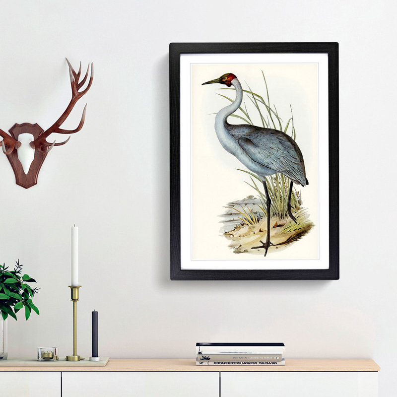 Australian Crane by Elizabeth Gould - Single Picture Frame Painting, 45cm H x 33cm W x 2cm D, Black Framed
