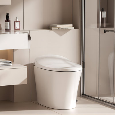 Toilette allongée sans réservoir Metis White