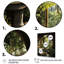 Hise Bathroom Natures Retreat II, reproduction d'art sur toile-1443361703-1443361713