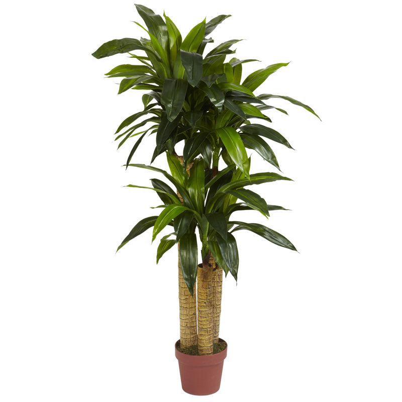 Plante artificielle en pot 48 po Dracaena