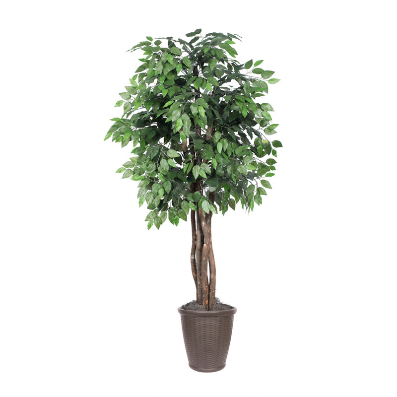 72'' Faux Tree in Pot, Brown