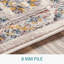 Bria Oriental 160cm X 213cm Area Rug