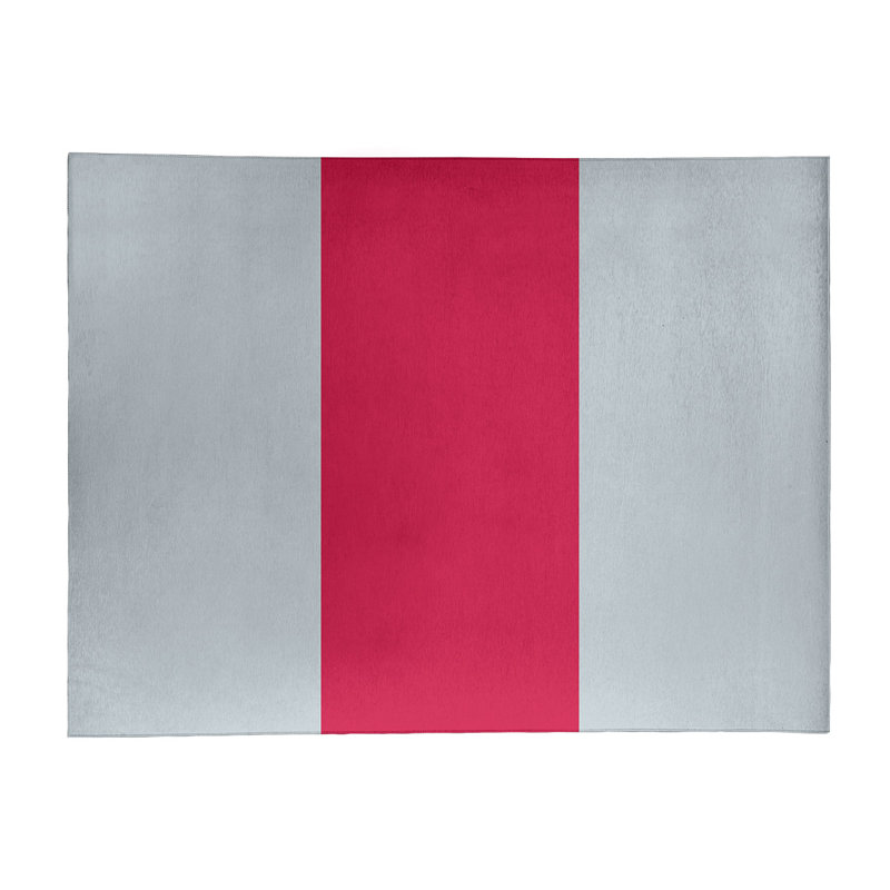 Chenille Striped Indoor Rug, Rectangle 5' x 7'