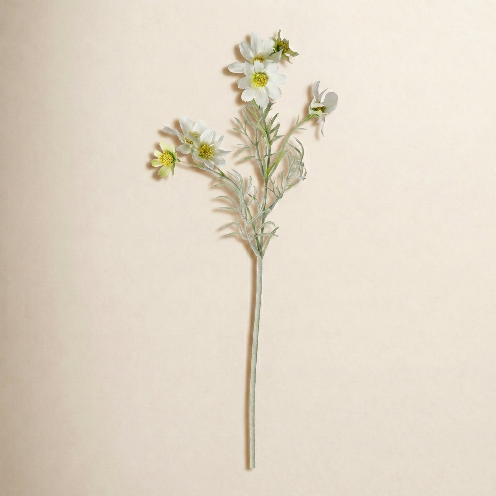 Audet Cornflower Stems, White, 23.4" x 4"
