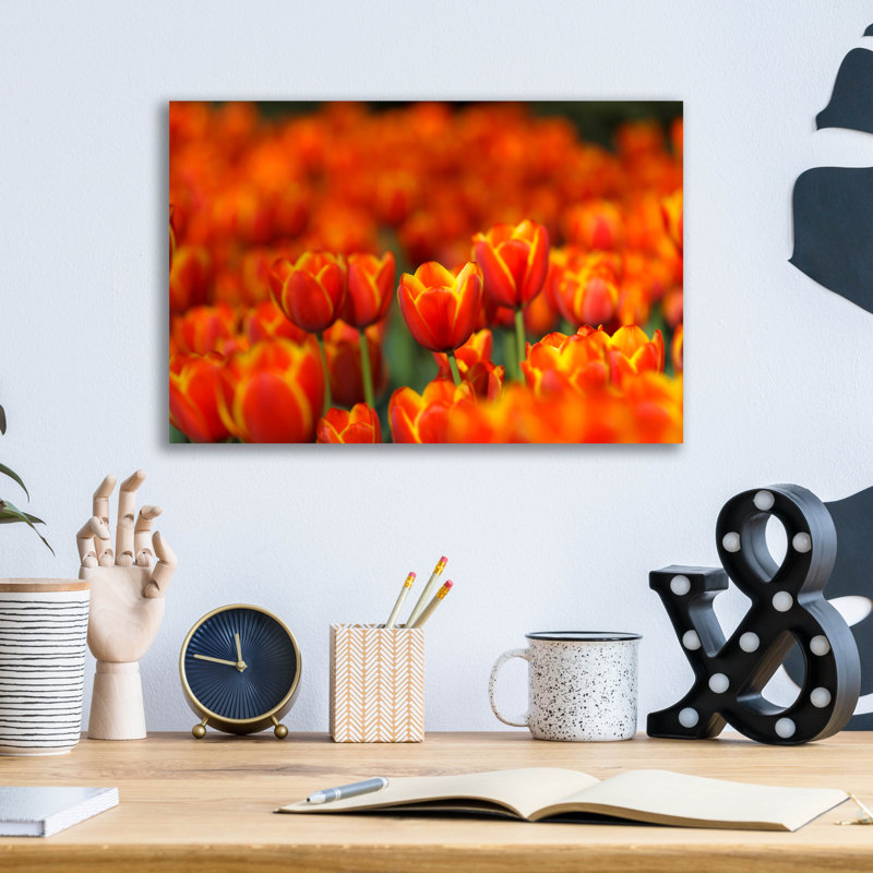 «Tulips Forever» par Jonathan Ross, art mural en verre acrylique, 16 po x 12 po, H 12 po x l 16 po x P 0,13 po