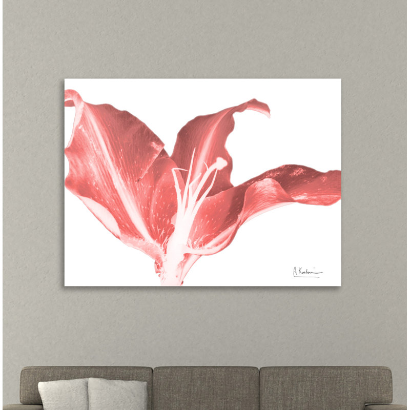 Reproduction d’art sur toile, "Coral Blossom 2" par Albert Koetsier, Toile tendue, H 30 po x l 40 po x P 1,5 po