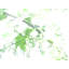 Dream Leaves by Petra Trimmel-71199887-132466978