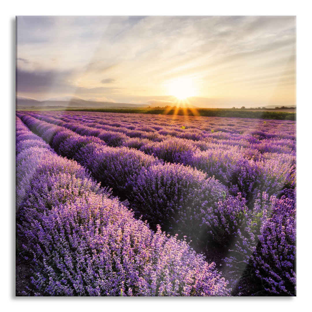 Glasbild Traumhafte Lavendel Provence