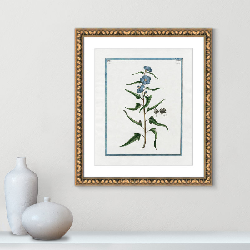 Colombe Shabby Elegance Botanical I - Art encadré avec fond perdu, Cadre en perle d'or, L 17 po x H 20 po