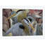 « two to tango », reproduction d’impression sur toile tendue-29054108-72805265-72805271
