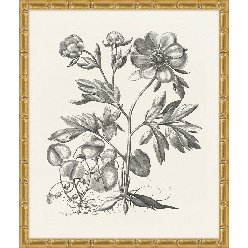 Bessler Study Neutral 3' Framed Graphic Art Print on Glass